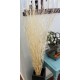 White Salix - Bleached Mitsumata Like Branches White Salix - Bleached Mitsumata Like Branches