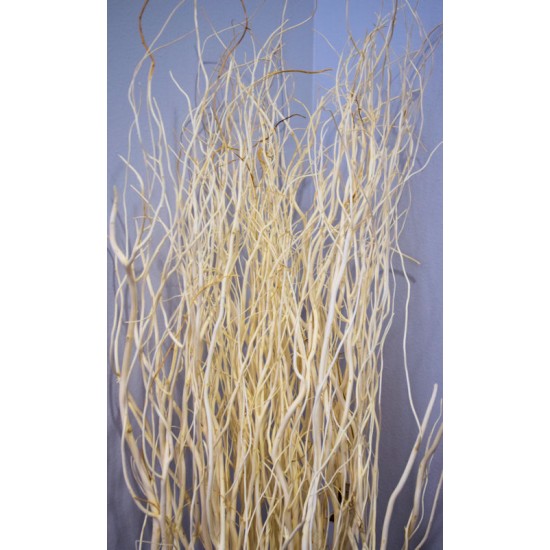 White Salix - Bleached Mitsumata Like Branches White Salix - Bleached Mitsumata Like Branches