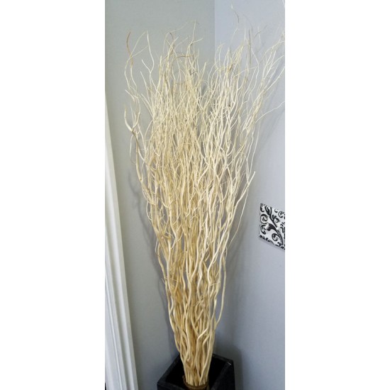 White Salix - Bleached Mitsumata Like Branches White Salix - Bleached Mitsumata Like Branches