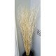White Salix - Bleached Mitsumata Like Branches White Salix - Bleached Mitsumata Like Branches