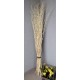 White Salix - Bleached Mitsumata Like Branches White Salix - Bleached Mitsumata Like Branches