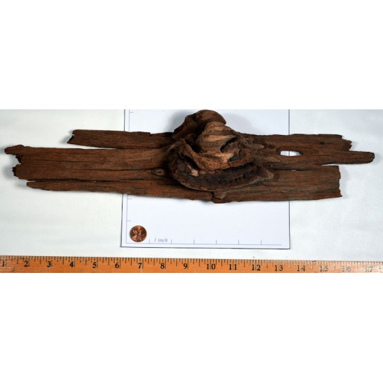 Driftwood Pieces For Sale - Large Driftwood Pieces For Sale - Large