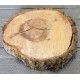 Elm Wood Slices - Large