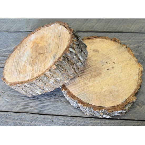 Elm Wood Slices - Medium