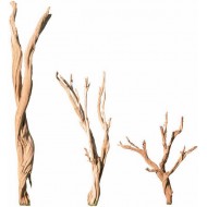 Ghostwood Branches - Sandblasted