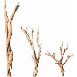 Ghostwood Branches - Sandblasted