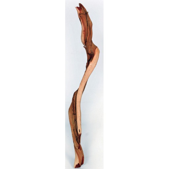 Ghostwood Logs and Sticks - Sandblasted