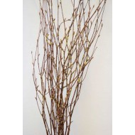 Gold Beaded Birch Branches