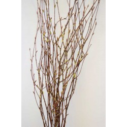 Gold Beaded Birch Branches