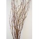 Gold Beaded Birch Branches