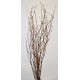 Gold Beaded Birch Branches