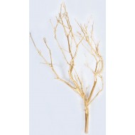 Dried Manzanita Branches - Painted Bulk Manzanita