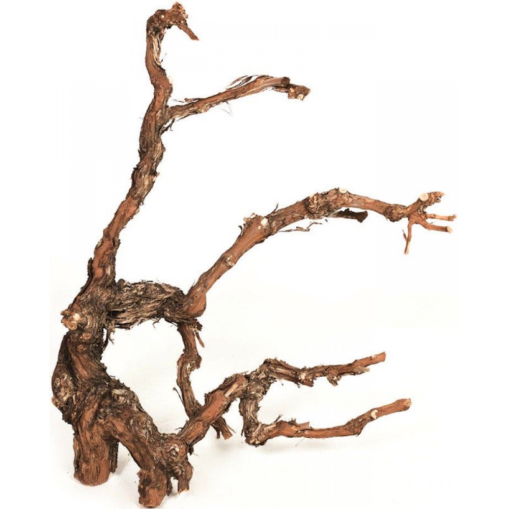 Grapewood Branches Natural Grape Wood