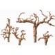 Grapewood Branches - Sandblasted - Grape Wood