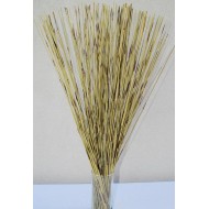 Green Pan Reed Bunch