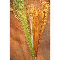 Long Curly Tamboo Branches - 5-6 feet tall
