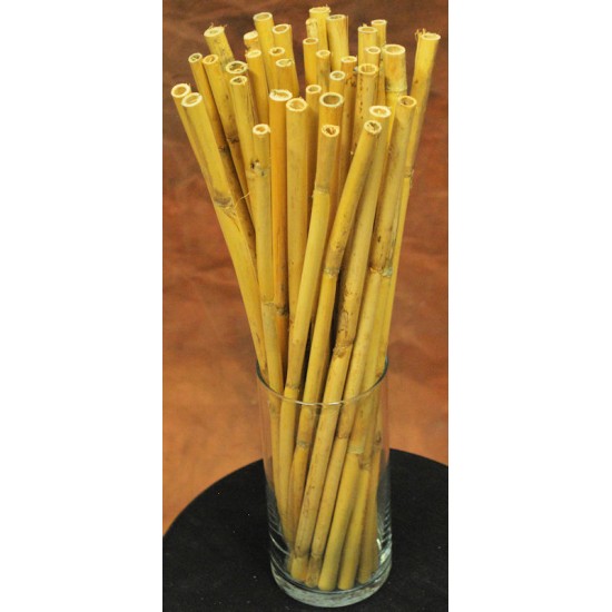 Short Dried Bamboo Stalks - Shoots Short Dried Bamboo Stalks - Shoots