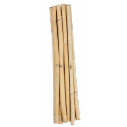 Short Dried Bamboo Stalks - Shoots