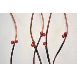 Berry Branches - Red Berries