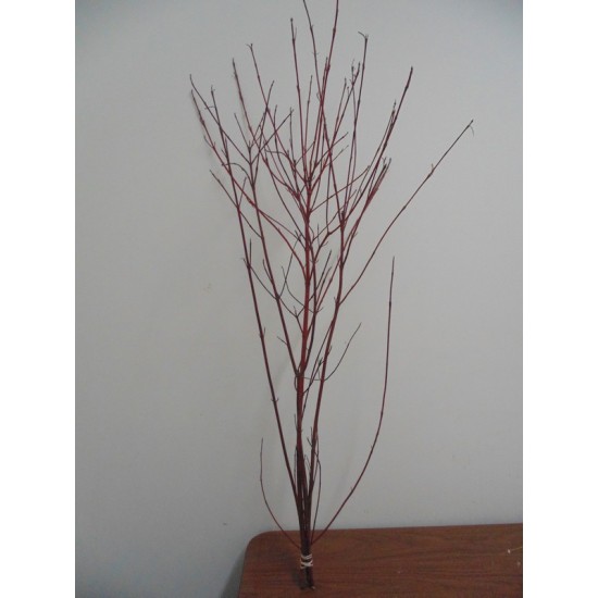 Dogwood Branches - Dried Dogwood branch