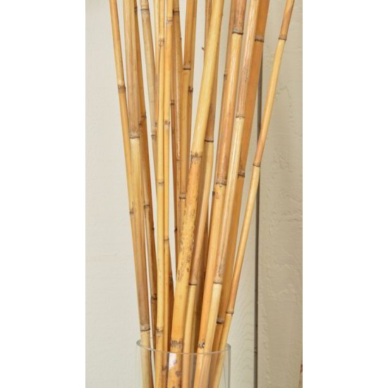 River Cane - RiverCane Bamboo River Cane - RiverCane Bamboo