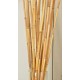 River Cane - RiverCane Bamboo River Cane - RiverCane Bamboo