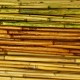 River Cane - RiverCane Bamboo River Cane - RiverCane Bamboo