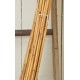 River Cane - RiverCane Bamboo River Cane - RiverCane Bamboo