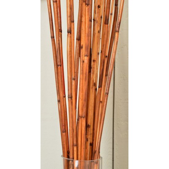 River Cane - RiverCane Bamboo River Cane - RiverCane Bamboo