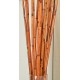 River Cane - RiverCane Bamboo River Cane - RiverCane Bamboo