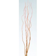 Curly Willow Branches for Centerpieces (Short Stem)