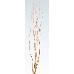 Curly Willow Branches for Centerpieces (Short Stem)
