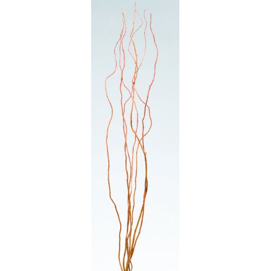 Curly Willow Branches for Centerpieces (Short Stem) Curly Willow Branches for Centerpieces (Short Stem)