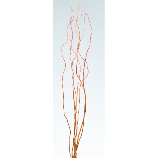 Curly Willow Branches for Centerpieces (Short Stem)