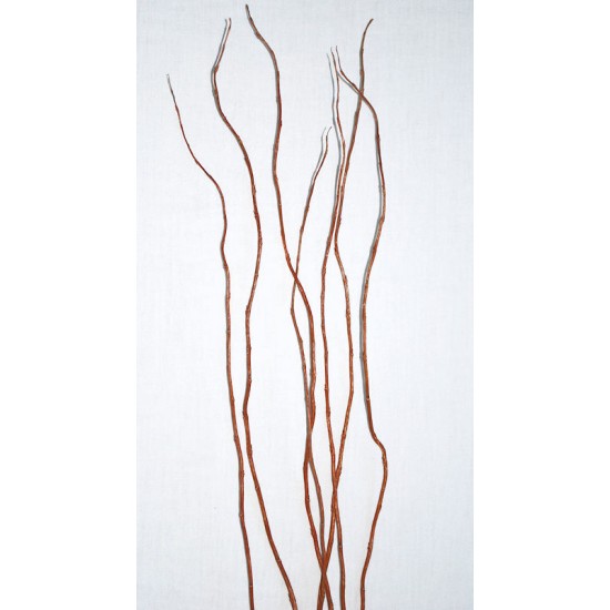 Curly Willow Branches for Centerpieces (Short Stem) Curly Willow Branches for Centerpieces (Short Stem)