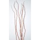 Curly Willow Branches for Centerpieces (Short Stem) Curly Willow Branches for Centerpieces (Short Stem)