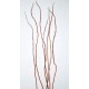 Curly Willow Branches for Centerpieces (Short Stem)