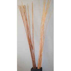 Long Willow Branches / Sticks