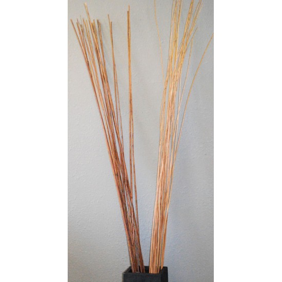 Long Willow Branches / Sticks Long Willow Branches / Sticks