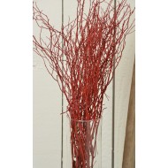 Sweet Huck Branches - Fire Red Huge 8oz Huckleberry bunch