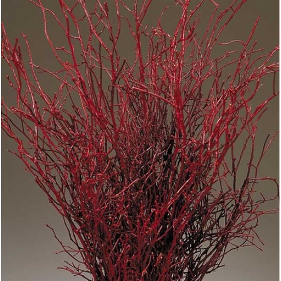 Sweet Huck Branches - Fire Red Huge 8oz Huckleberry bunch