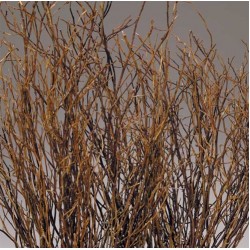 Sweet Huck Branches - Natural Huckleberry