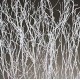 Sweet Huck Branches - White Sparkle bunch