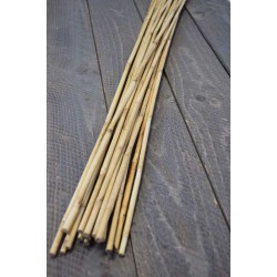 Wild Cane - Natural Bamboo