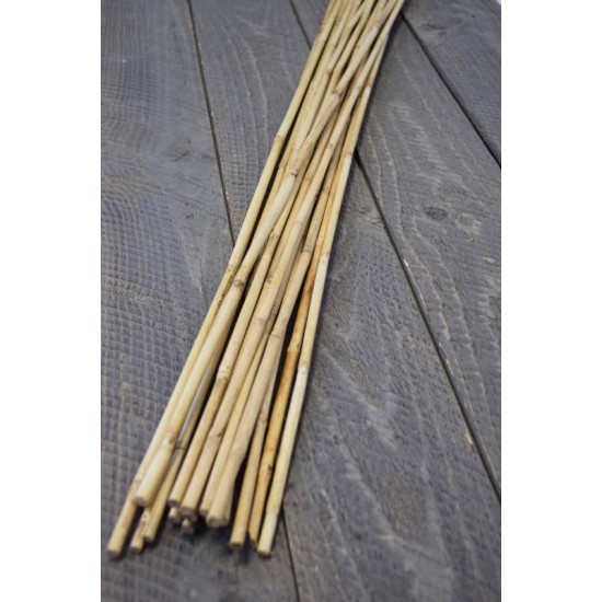 Wild Cane - Natural Bamboo