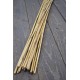 Wild Cane - Natural Bamboo