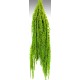 Hanging Amaranthus Preserved - Dried