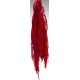 Hanging Amaranthus Preserved - Dried Hanging Amaranthus Preserved - Dried