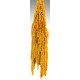 Hanging Amaranthus Preserved - Dried Hanging Amaranthus Preserved - Dried