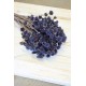 Dried Brazilian Hill Flowers - Navy Blue (Limited Stock)